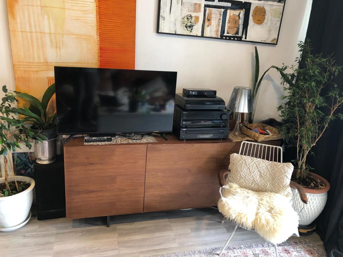 Cool Apartment, Central To Everything, Share With 2X Bulldogs Auckland Eksteriør billede