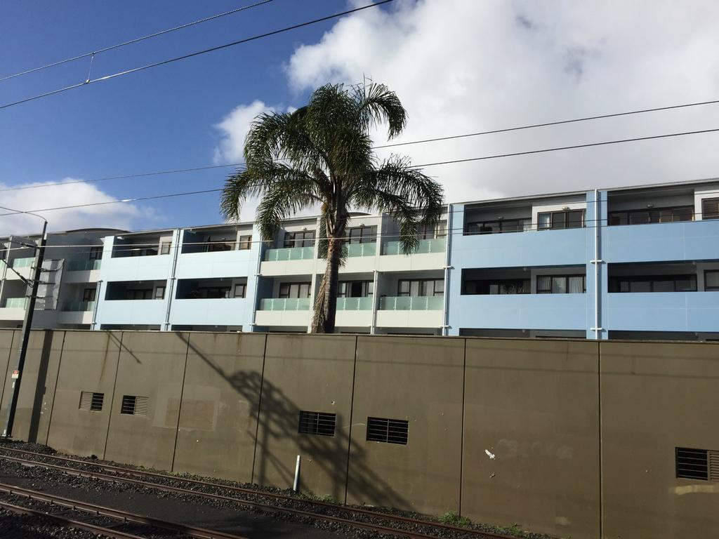 Cool Apartment, Central To Everything, Share With 2X Bulldogs Auckland Eksteriør billede